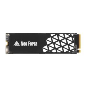 DISCO SSD NEO FORZA M2 2280 GEN4 2TB NVME BOX (NFP445PCI20-44H1200)