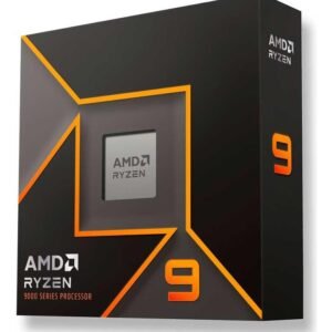 Micro Amd (Am5) Ryzen 9 9900X